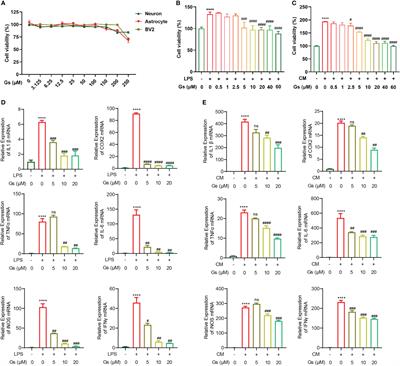 Regulation of microglia related neuroinflammation contributes to the protective effect of Gelsevirine on ischemic stroke